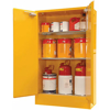 Picture of Miscellaneous Dangerous Goods Storage Cabinets 250 Litres